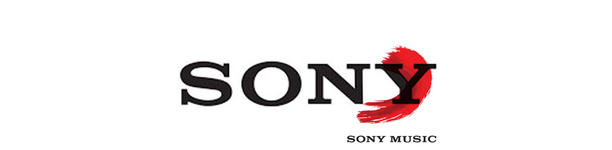 Sony Amplifier repair service